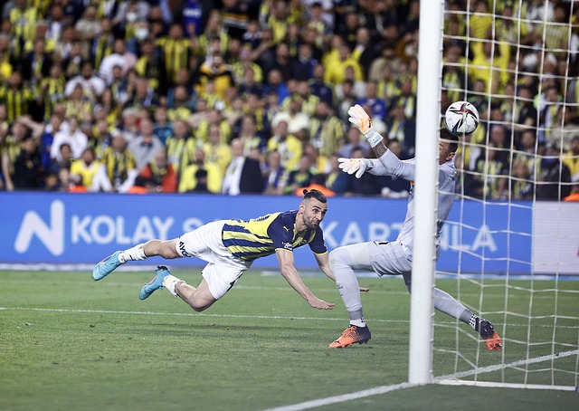 2023-2024賽季法國足球甲級聯賽射手榜.