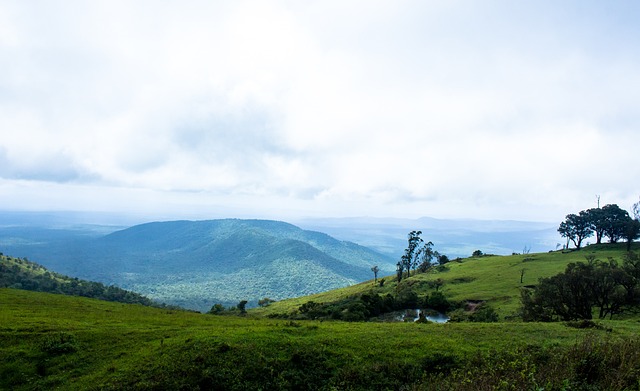 東南大區丨小組賽落幕 明日交叉淘汰大戰開啟.